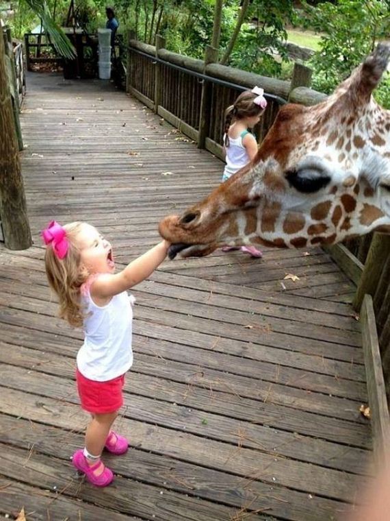 funny-pictures-975