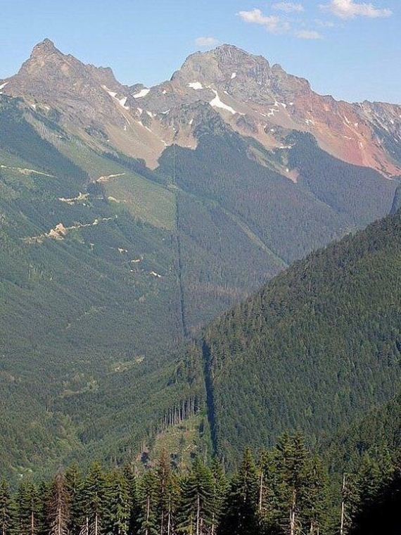 funny-pictures-976