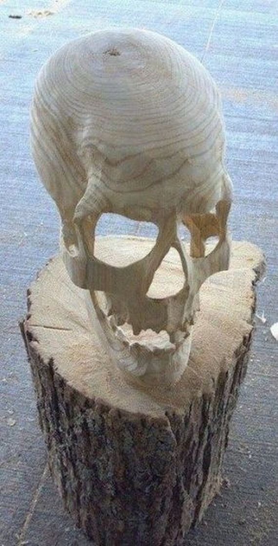 funny-pictures-976