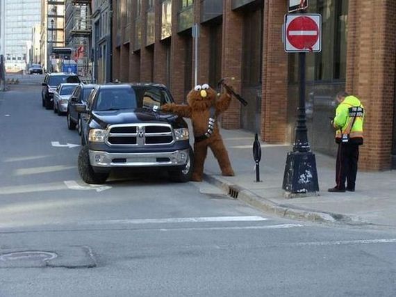 funny-pictures-977