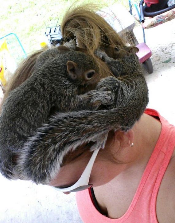 funny-pictures-977