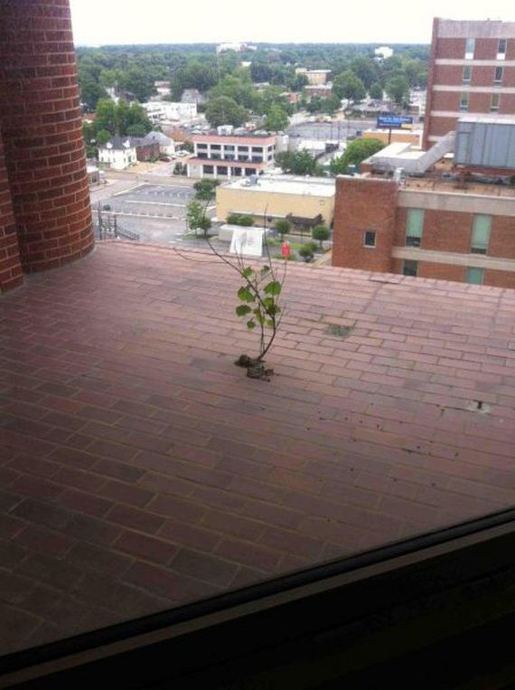 funny-pictures-977