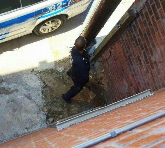 funny-pictures-977