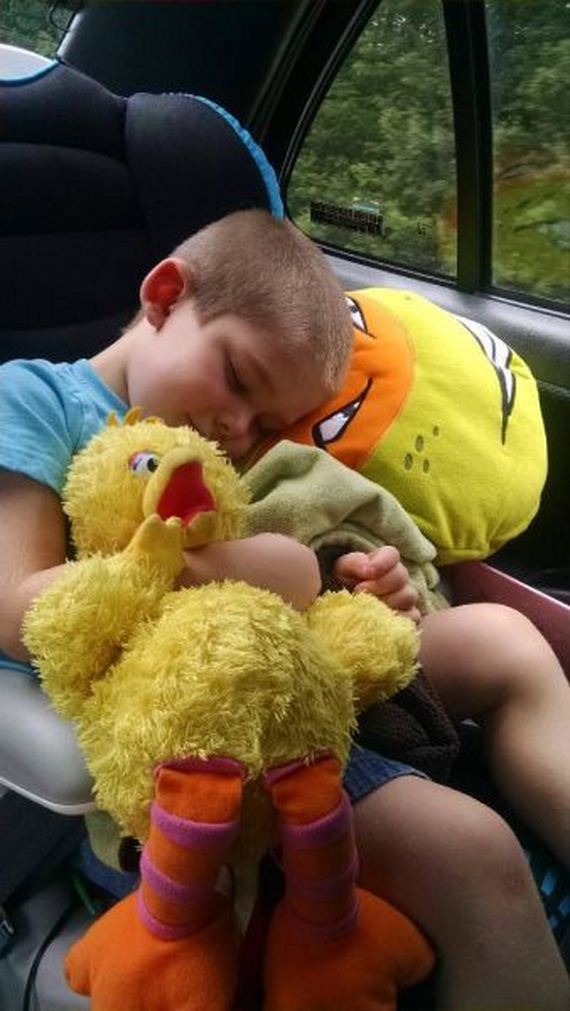 funny-pictures-977