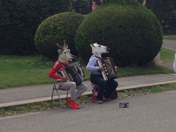 funny-pictures-978