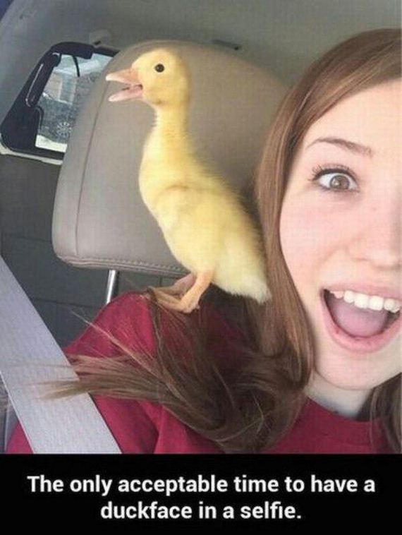 funny-pictures-978