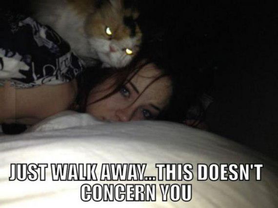 funny-pictures-978