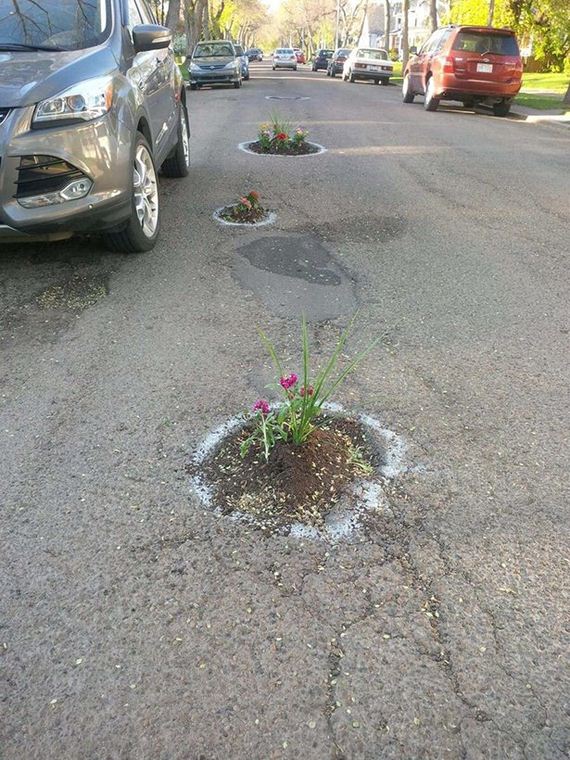 funny-pictures-978