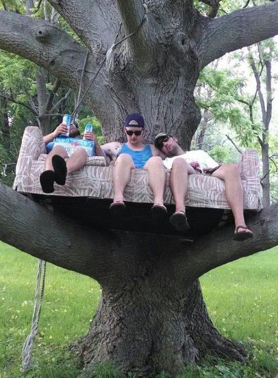 funny-pictures-979