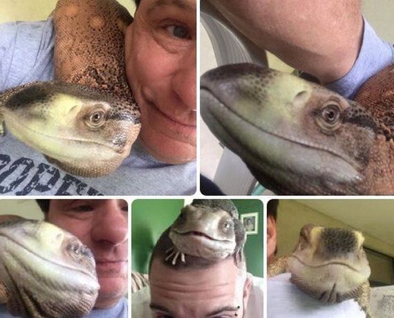 funny-pictures-979