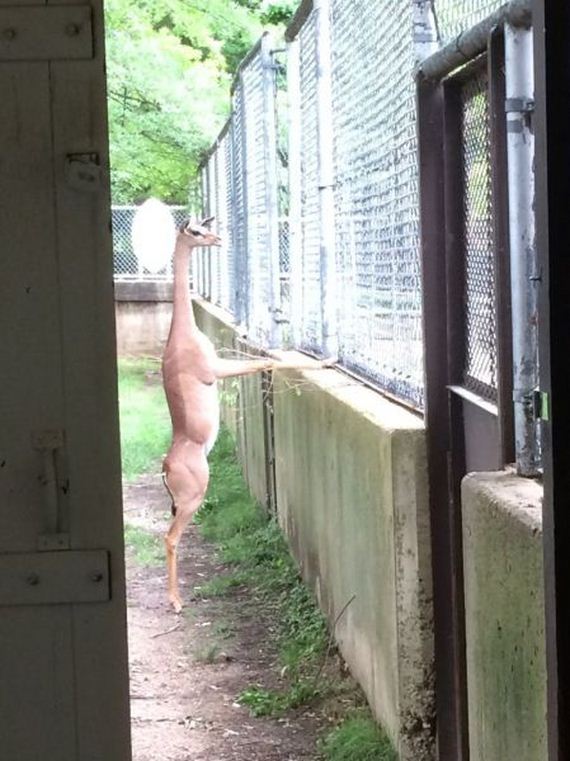 funny-pictures-979