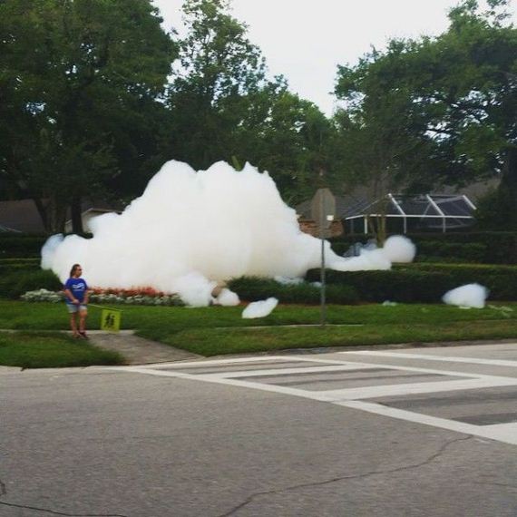 funny-pictures-979