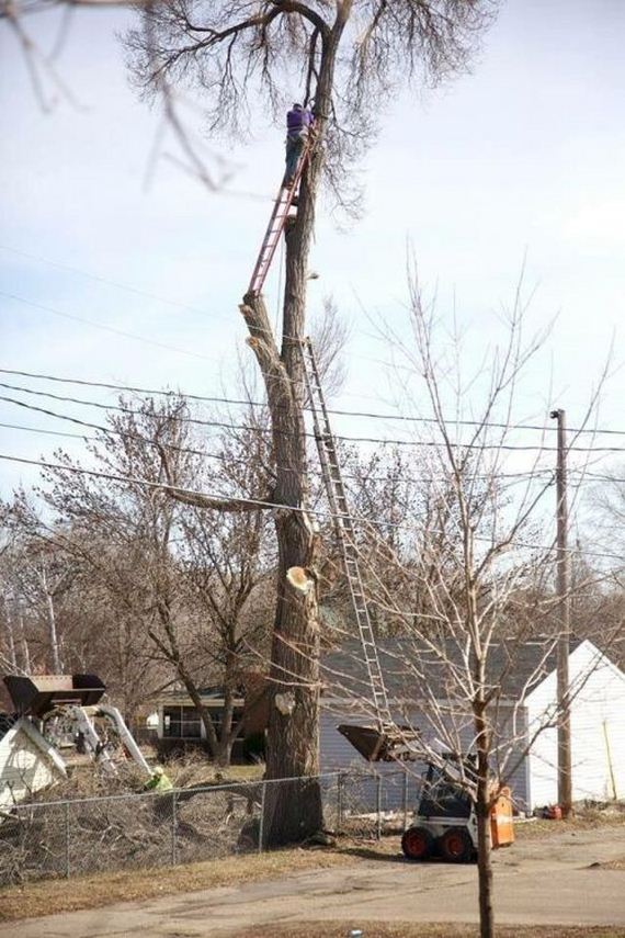 funny-pictures-980