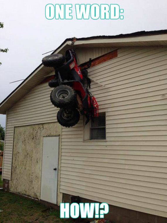 funny-pictures-980