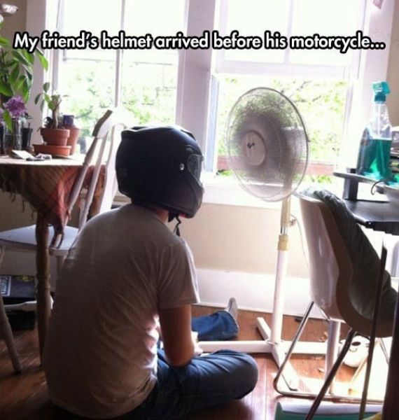 funny-pictures-980