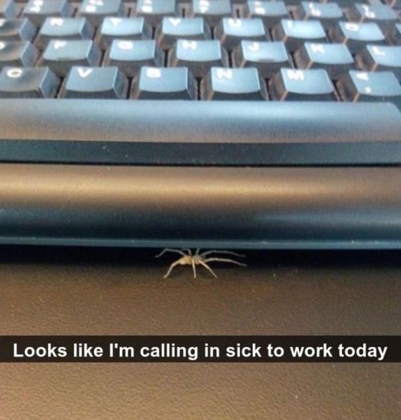 funny-pictures-981
