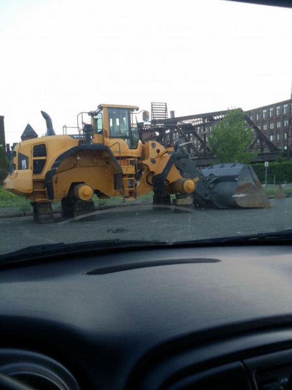 funny-pictures-981