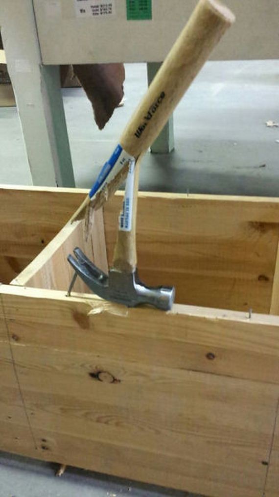 funny-pictures-981