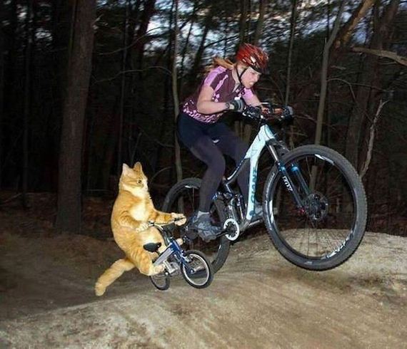 funny-pictures-982