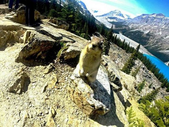 funny-pictures-982