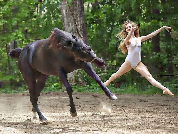 funny-pictures-982