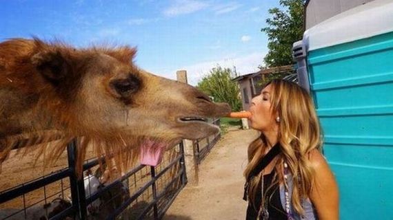 funny-pictures-982