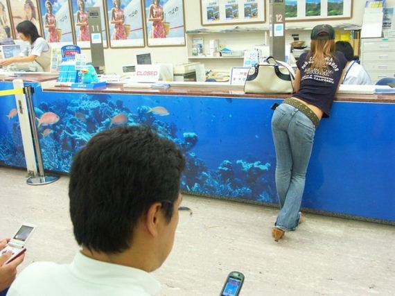 funny-pictures-982