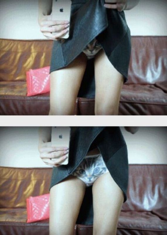 funny-pictures-983