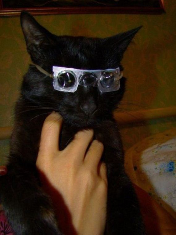 funny-pictures-983