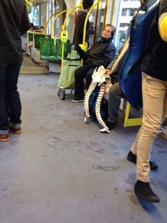 funny-pictures-983