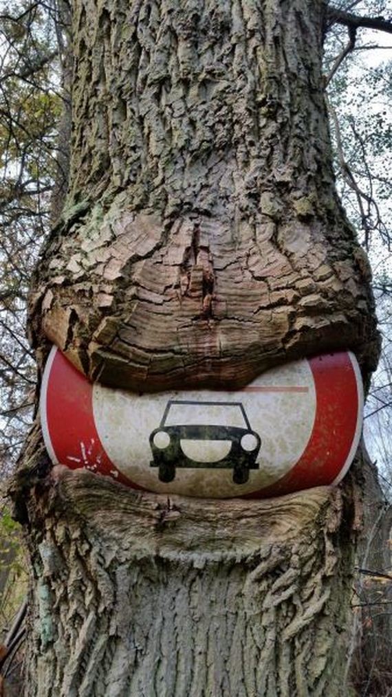 funny-pictures-983