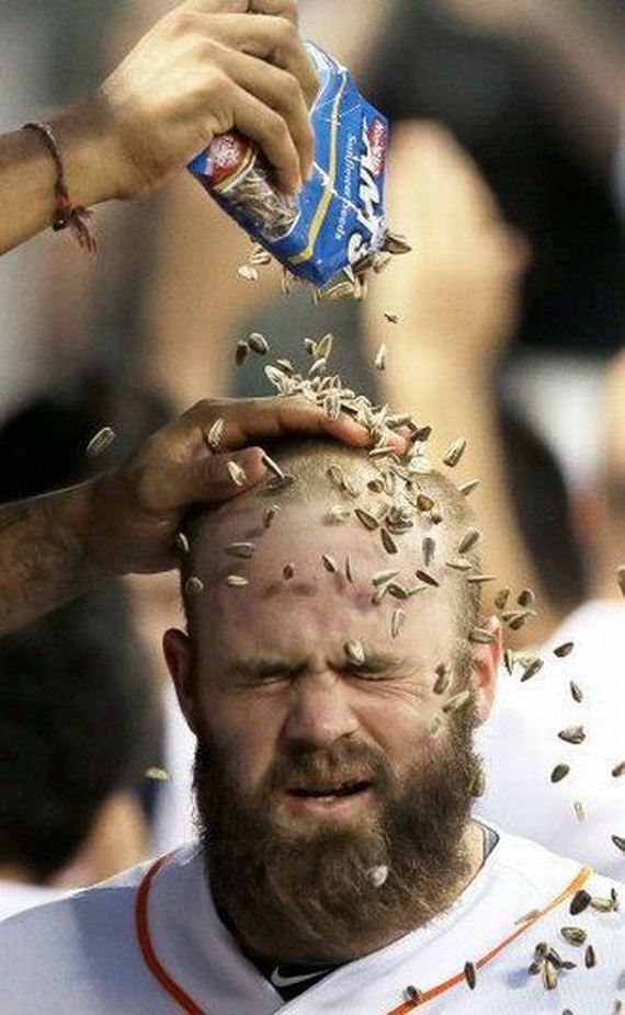 funny-pictures-983