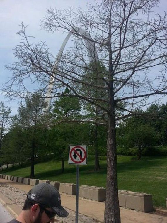 funny-pictures-983