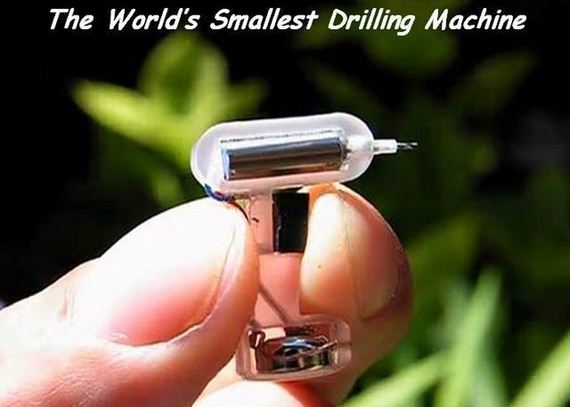 funny-pictures-984