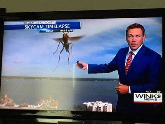 funny-pictures-984
