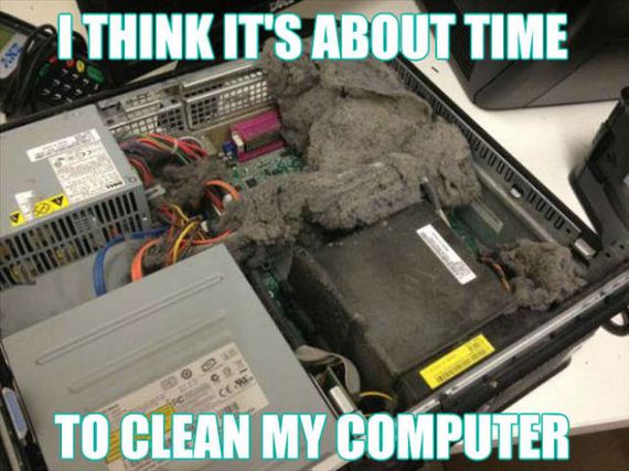 funny-pictures-984