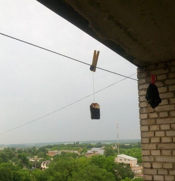 funny-pictures-984