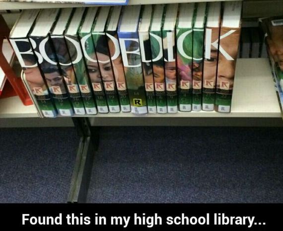 funny-pictures-984