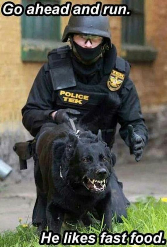 funny-pictures-984