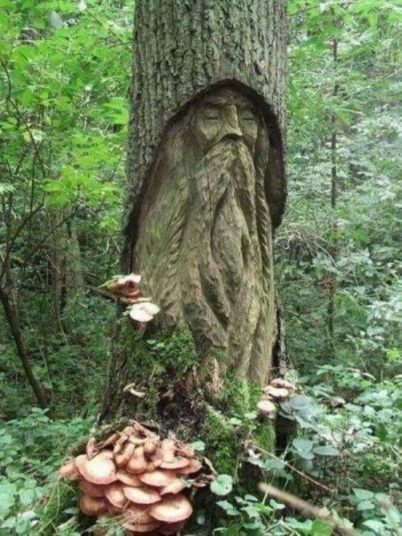 funny-pictures-984