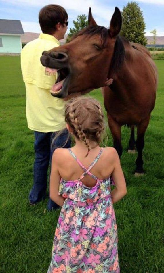 funny-pictures-984