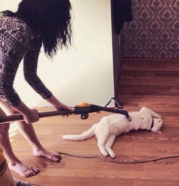 funny-pictures-984