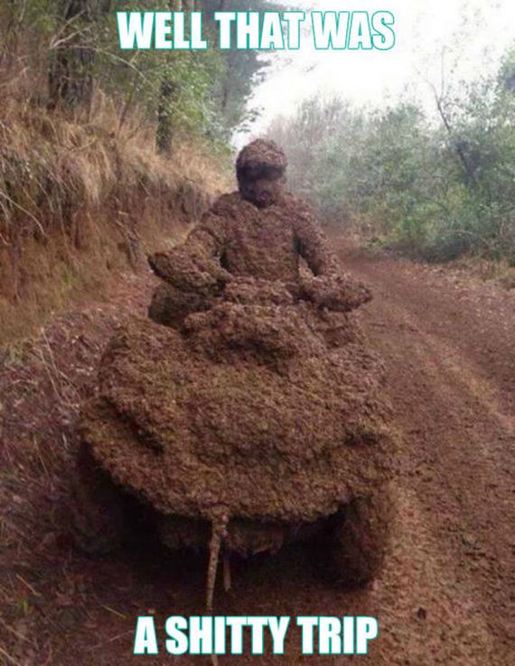 funny-pictures-984