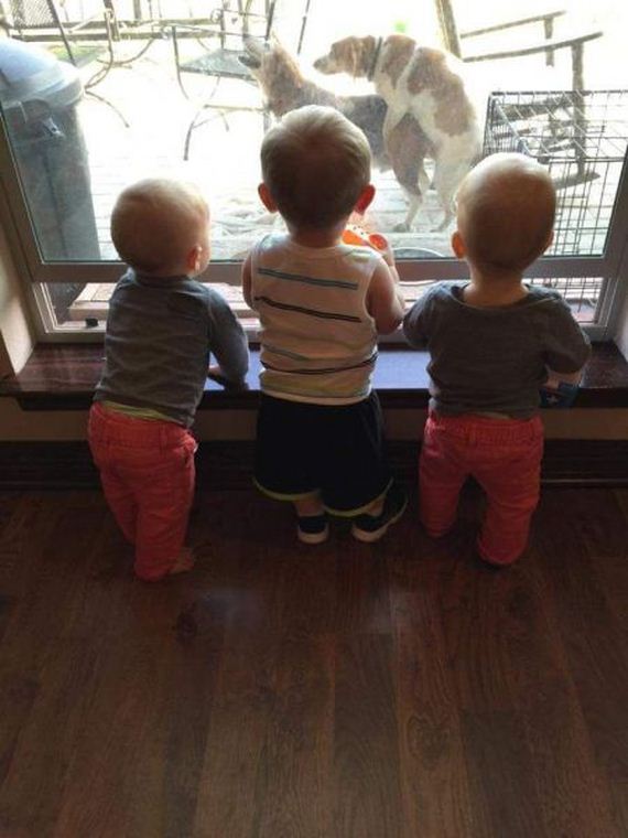 funny-pictures-985