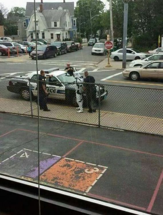 funny-pictures-985