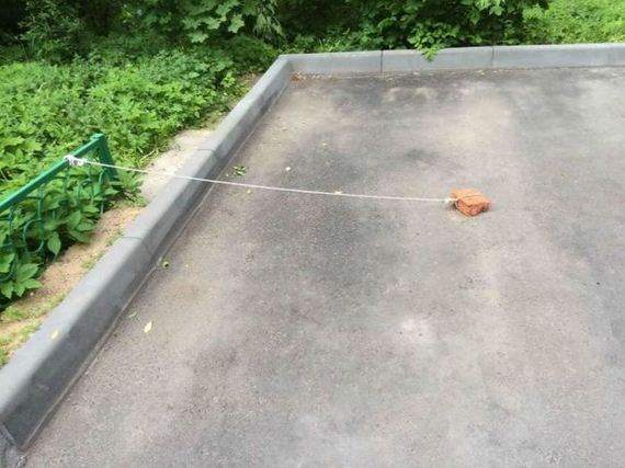 funny-pictures-986