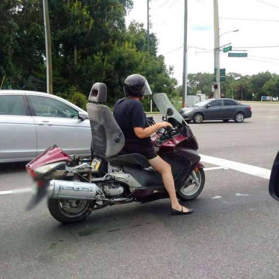funny-pictures-986