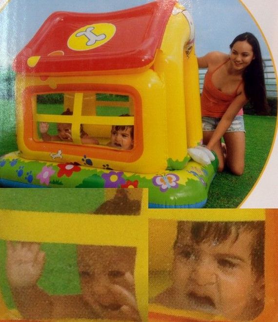 funny-pictures-986