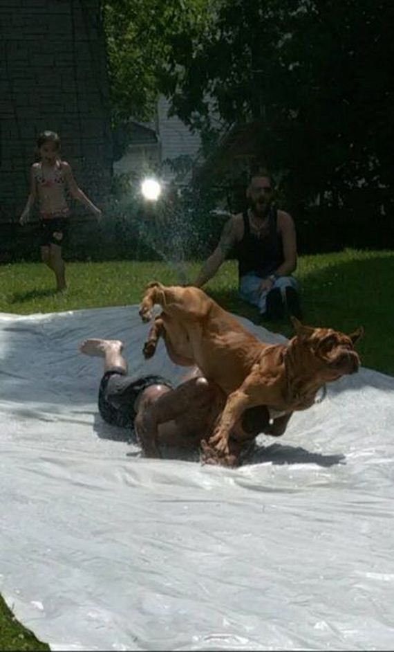 funny-pictures-986