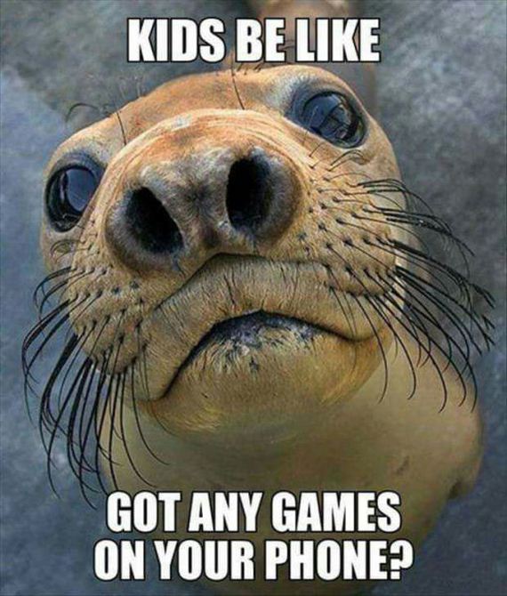 funny-pictures-987